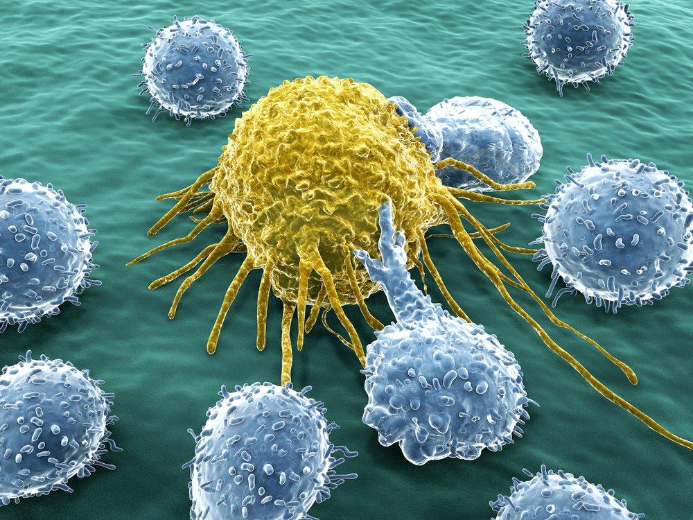 Bağışıklık sistemi ve kanserin savaşı: Mekanizma nasıl çalışıyor?