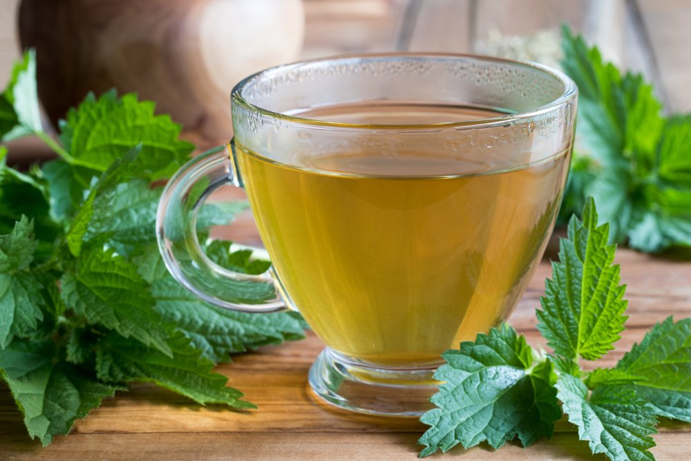 Isırgan otu çayı nasıl yapılır, kaç gün içilir? İşte ısırgan otu çayının etkileri…