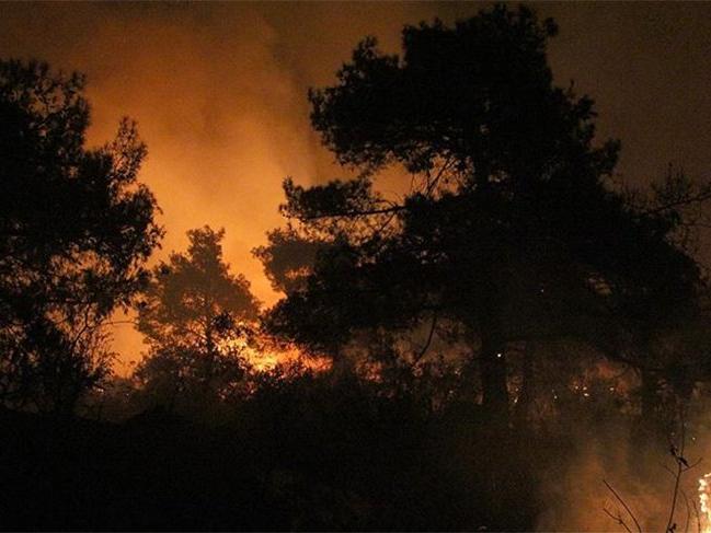 Şili'de orman yangınları nedeniyle kırmızı alarm verildi!