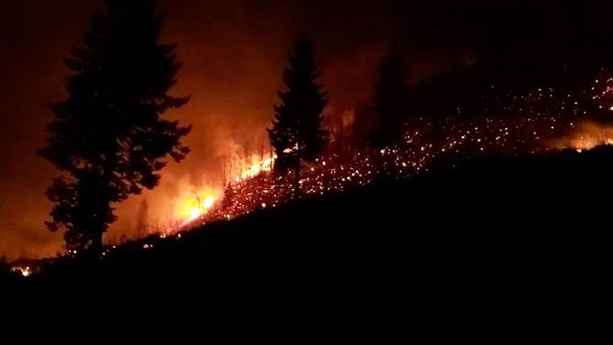 Trabzon'da orman yangını! Evler tahliye edildi