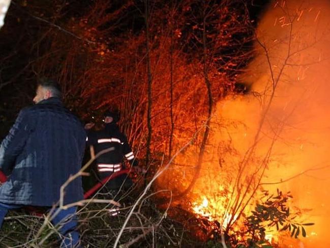 Karadeniz'deki büyük yangınla ilgili 7 kişi hakkında yasal işlem