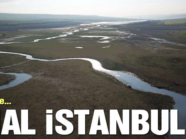 Kanal İstanbul'u bilim insanlarına sorduk... İkinci bölüm: Deprem riski