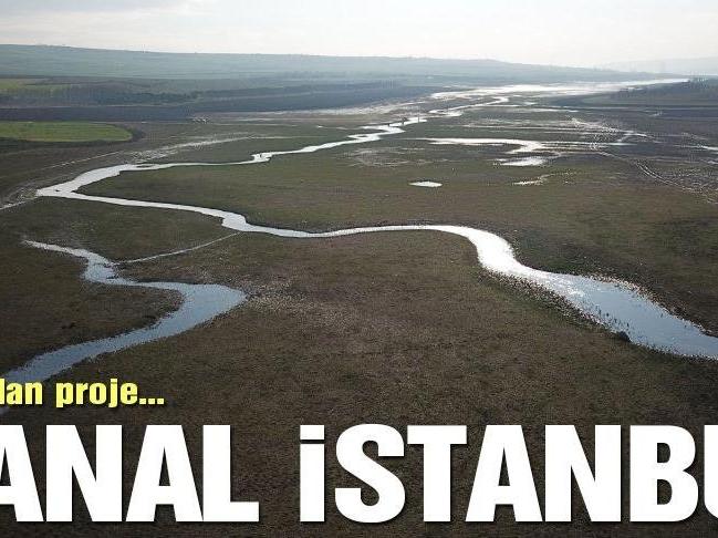 Kanal İstanbul’u bilim insanlarına sorduk… Dördüncü bölüm: Deniz canlıları
