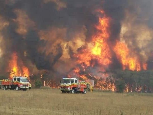 Avustralya yangınının nedeni ne? NASA'nın çektiği iddia edilen Avustralya fotoğrafı gerçek mi?