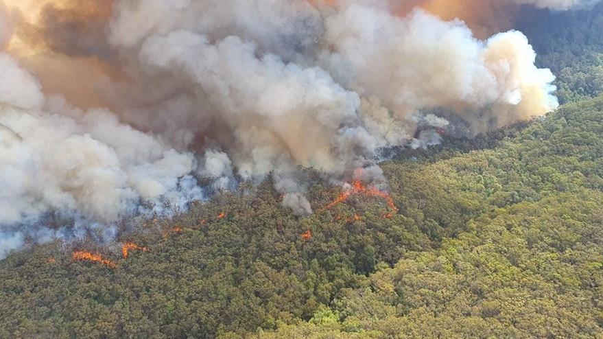 Son durum: Avustralya'daki yangından korkutan haber...