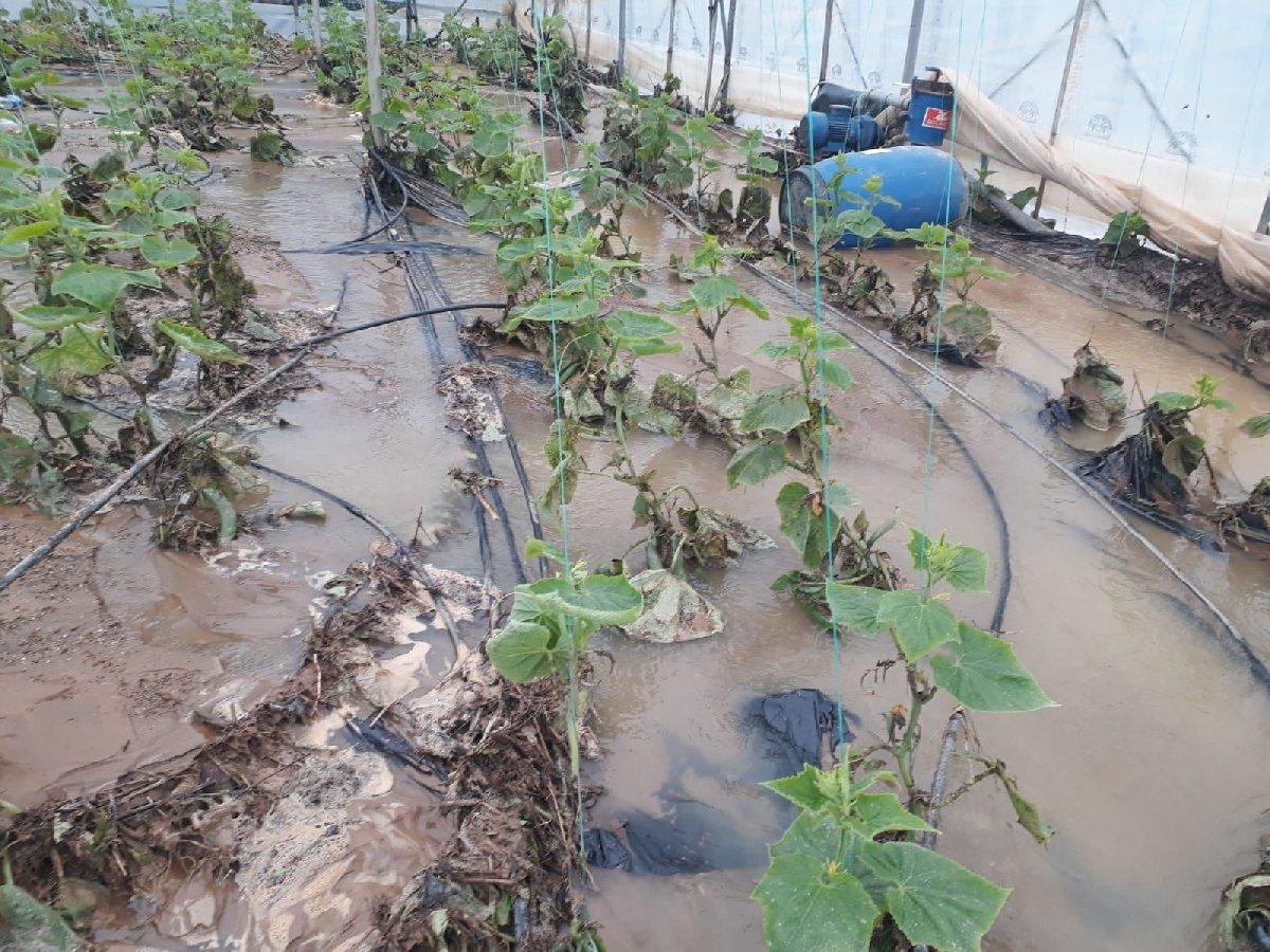 Antalya'da etkili olan yağışlar sebze ve meyve fiyatlarını artırabilir