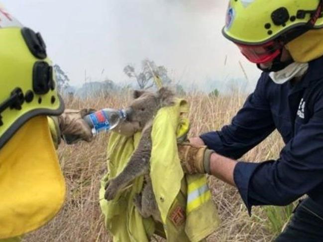 Avustralya'daki yangında son durum... NASA korkutan görüntüyü paylaştı