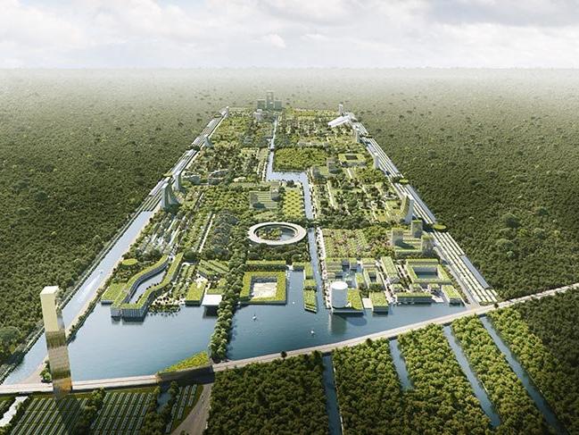 Dünyanın ilk akıllı orman şehri Meksika’da kurulacak