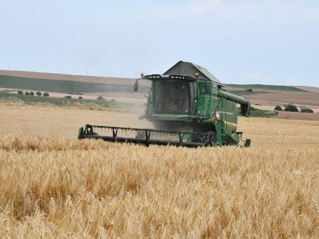 Türkiye'nin tahıl ambarından üzücü tespit: Tarım yapmanın imkanı kalmadı