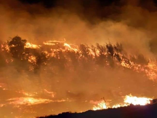 Adana'da iki farklı noktada orman yangını çıktı!
