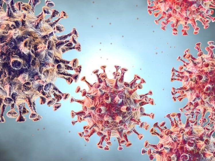 Corona virüsü belirtileri neler? Coronavirüs nasıl bulaşır?