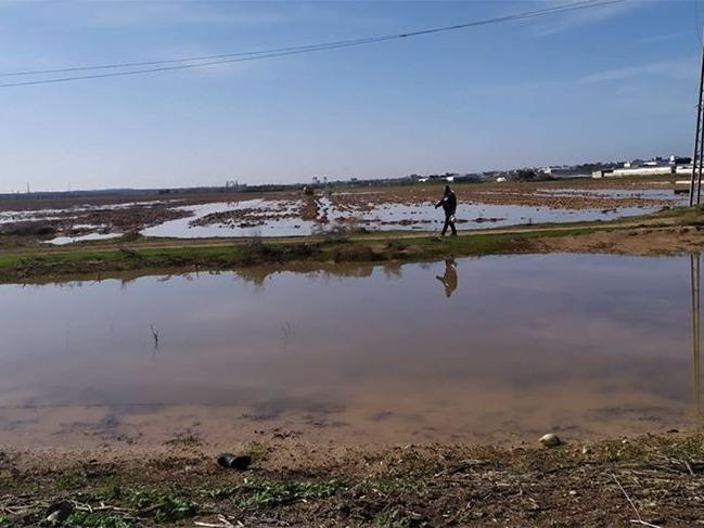 İsrail baraj kapaklarını açtı: Gazzeli çiftçiler 350 bin dolar zarar etti