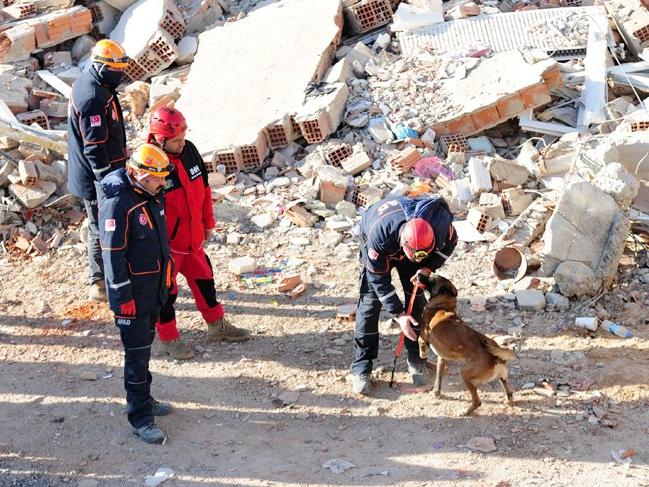 Depremin isimsiz kahramanları; kurtarma köpekleri