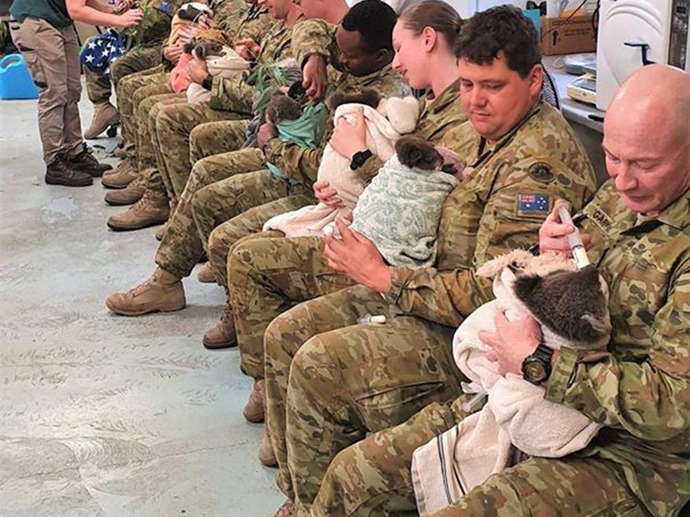 Sosyal medya yürekleri ısıtan bu kareleri konuşuyor! Askerler elleriyle besledi