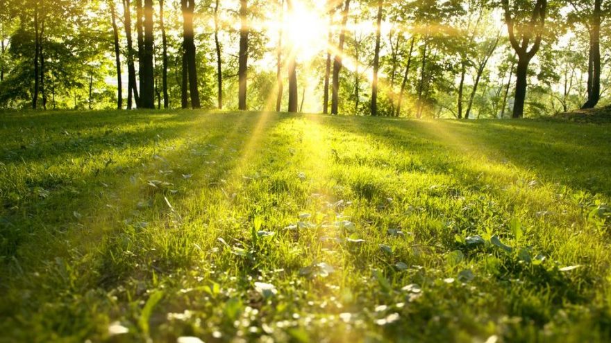 Cemre tarihleri yaklaşıyor! İlk cemre ne zaman düşecek?