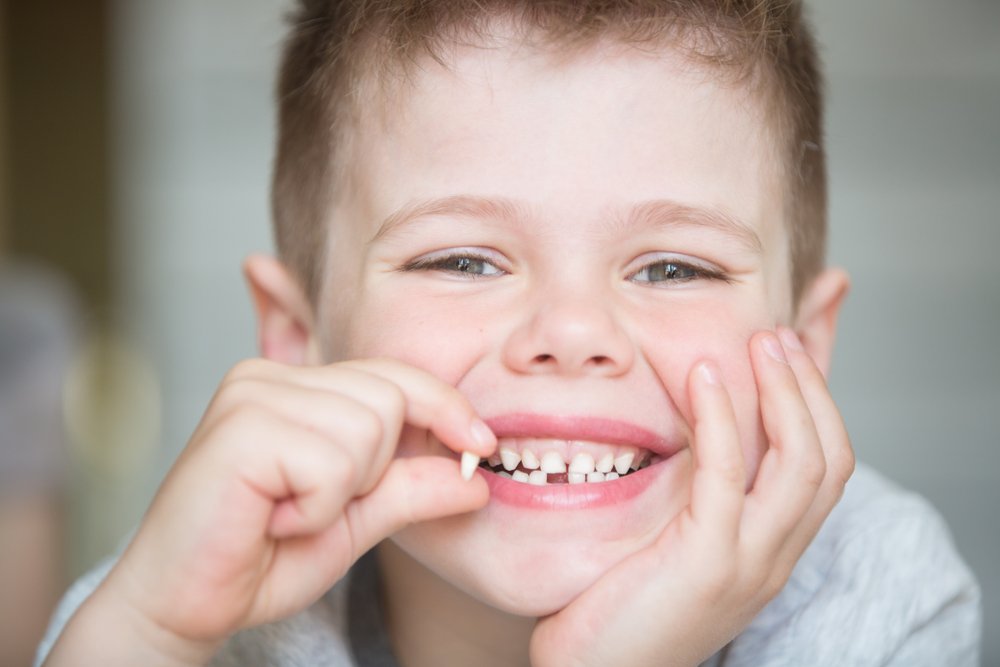 Süt dişleri çekilmeli mi? Hangi süt dişleri dökülür?