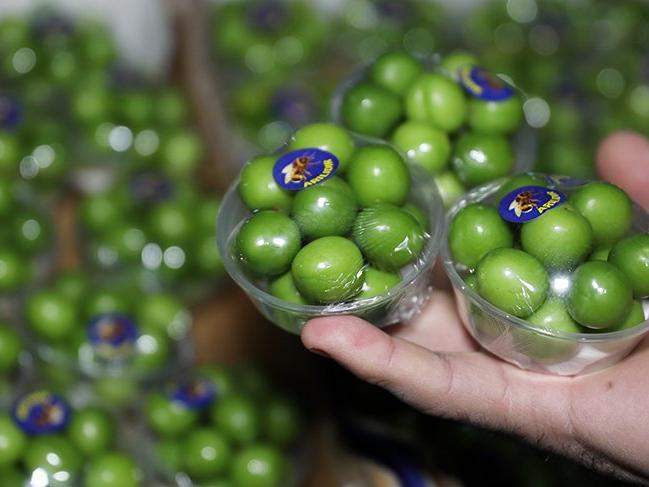 Kilogram fiyatı çeyrek altını geçti