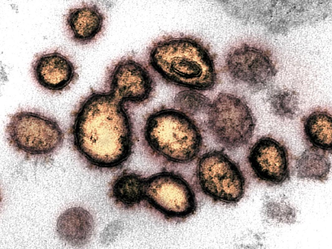 Bilim insanlarından korkutan corona açıklaması: 40 mutasyon geçirmiş virüs bulundu