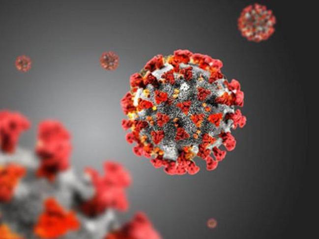 Japonya corona virüsüne iyi gelen ilaç için klinik çalışmalara başladı
