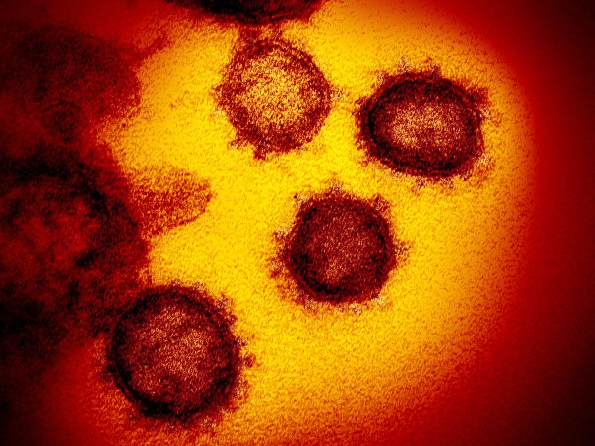 Corona virüsü ile ilgili korkutan keşif: Tam iki kat daha bulaşıcı
