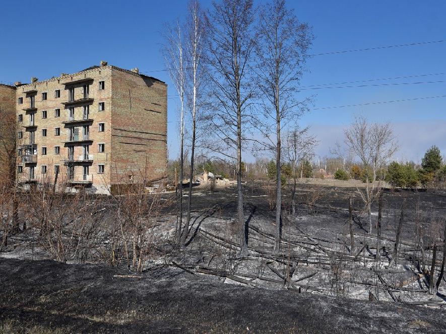 Çernobil'den dehşet verici haber: Sadece 1 kilometre kaldı!