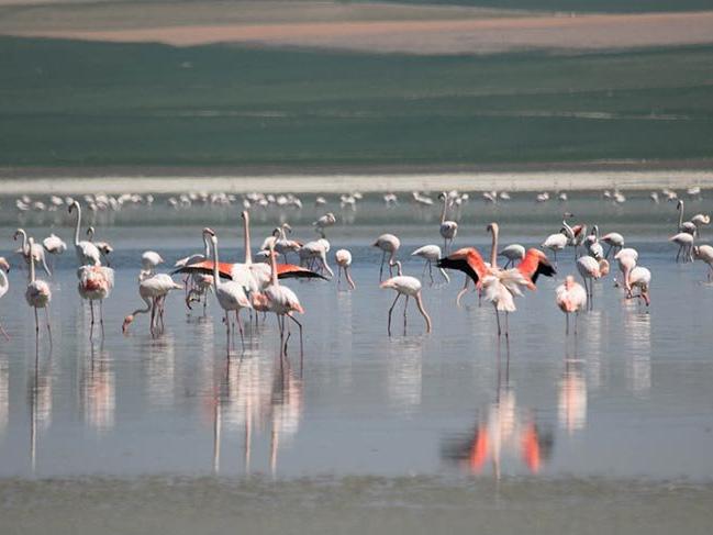 180 kuş türüne ev sahipliği yapan 'Düden Gölü' kurumaya yüz tuttu