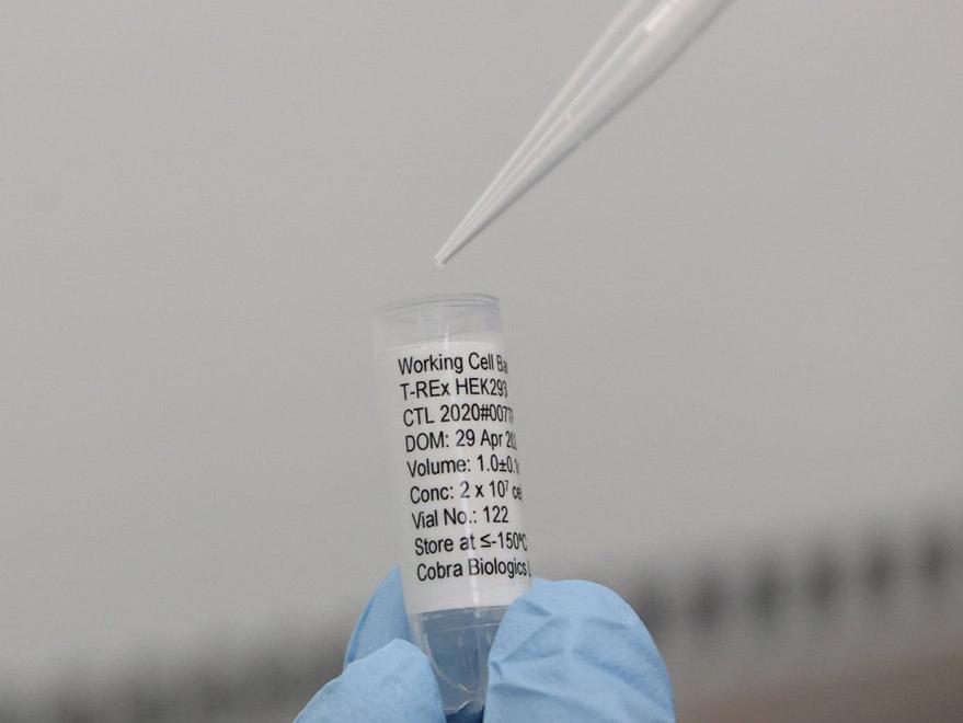 İsrail'den "önemli corona buluşu" açıklaması