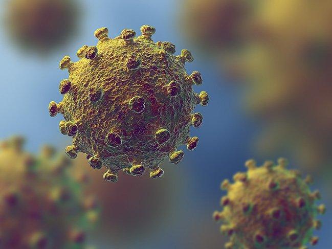 Prof. Dr. Tufan Tükek cevapladı: Corona virüsü mutasyona mı uğruyor?