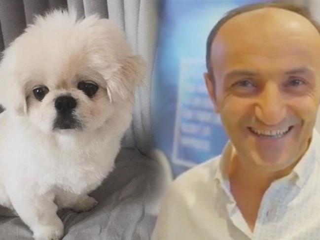 Ersin Korkut yeni köpeğinin fotoğrafını paylaştı ve sordu
