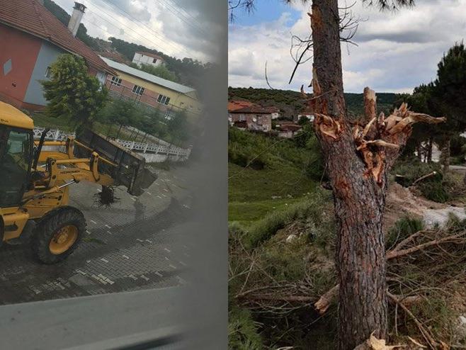 AKP'li belediye ağaçları kontrollü kırmış