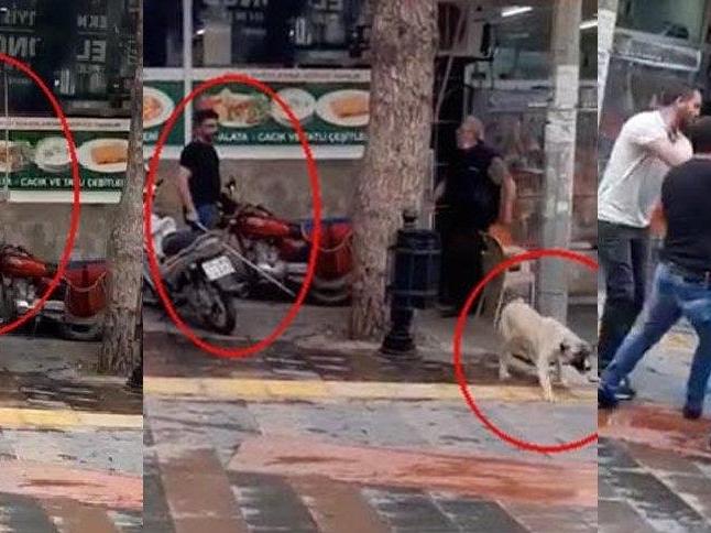 Mahkemeden köpeği döven kişiye ders niteliğinde ceza