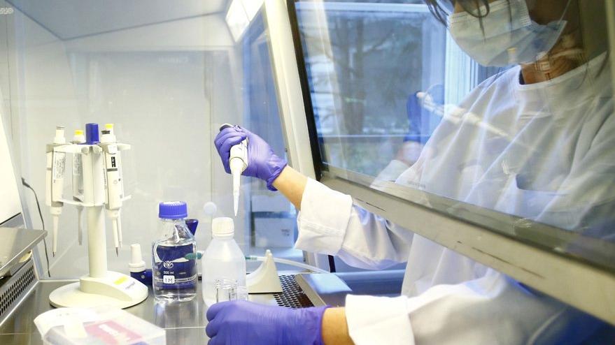 Corona virüsü aşısında flaş gelişme: Gelecek hafta başlıyor