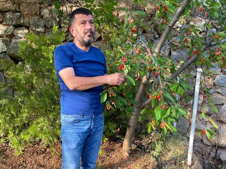 CHP'li Ağbaba SÖZCÜ HaftaSonu'na konuştu: Çocukluğum inek güderek geçti