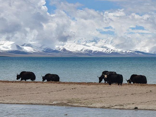 Tibetlilerin kutsal gölü Namtso