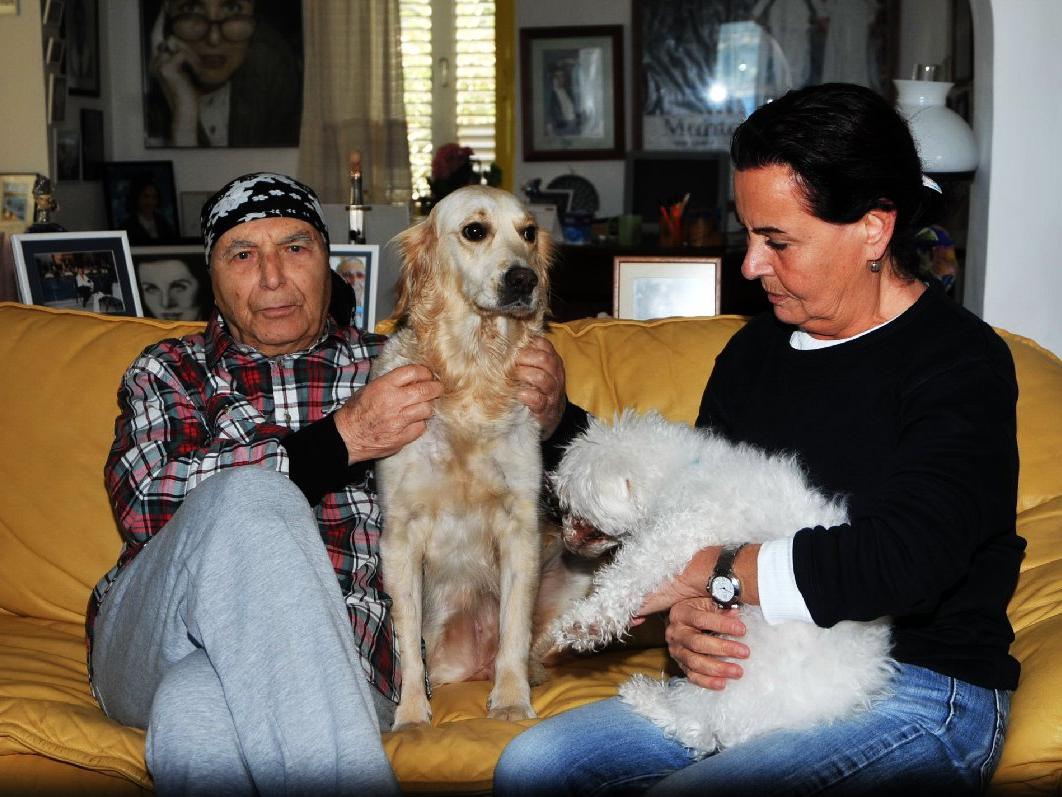 Fatma Girik'in köpeği Nazlı'ya araba çarptı, hayatını kaybetti