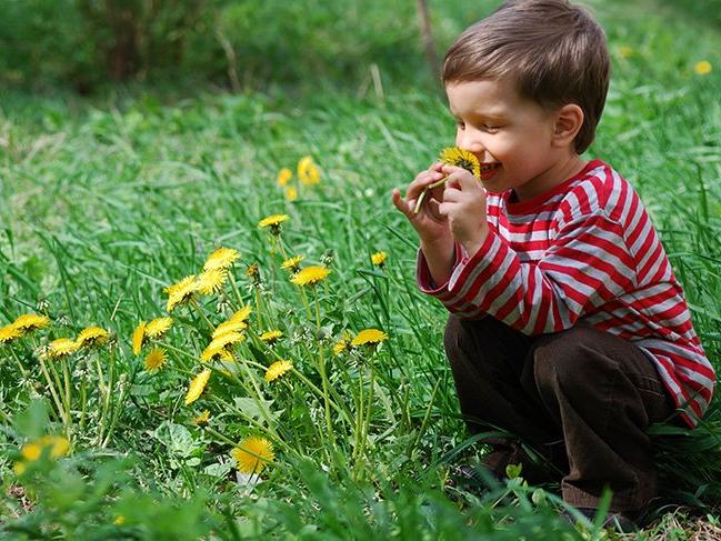 Çocukların sağlığını tehdit eden 3 yaz alerjisi
