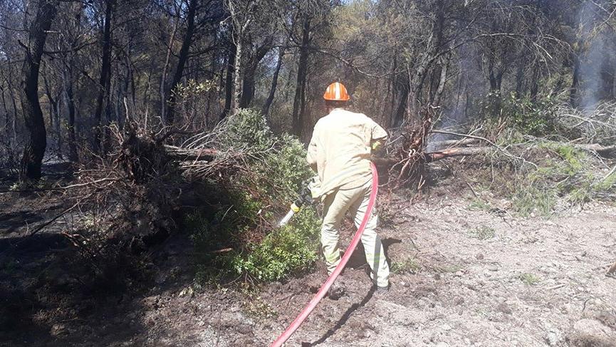 İzmir ve Muğla'da peş peşe orman yangınları