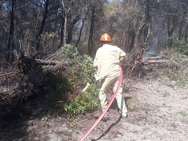 İzmir ve Muğla'da peş peşe orman yangınları
