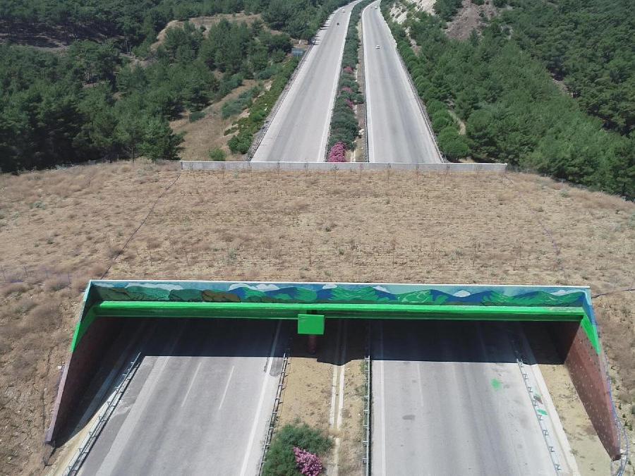 İzmir-Çeşme Otoyolu'ndaki ekolojik köprü tamamlandı