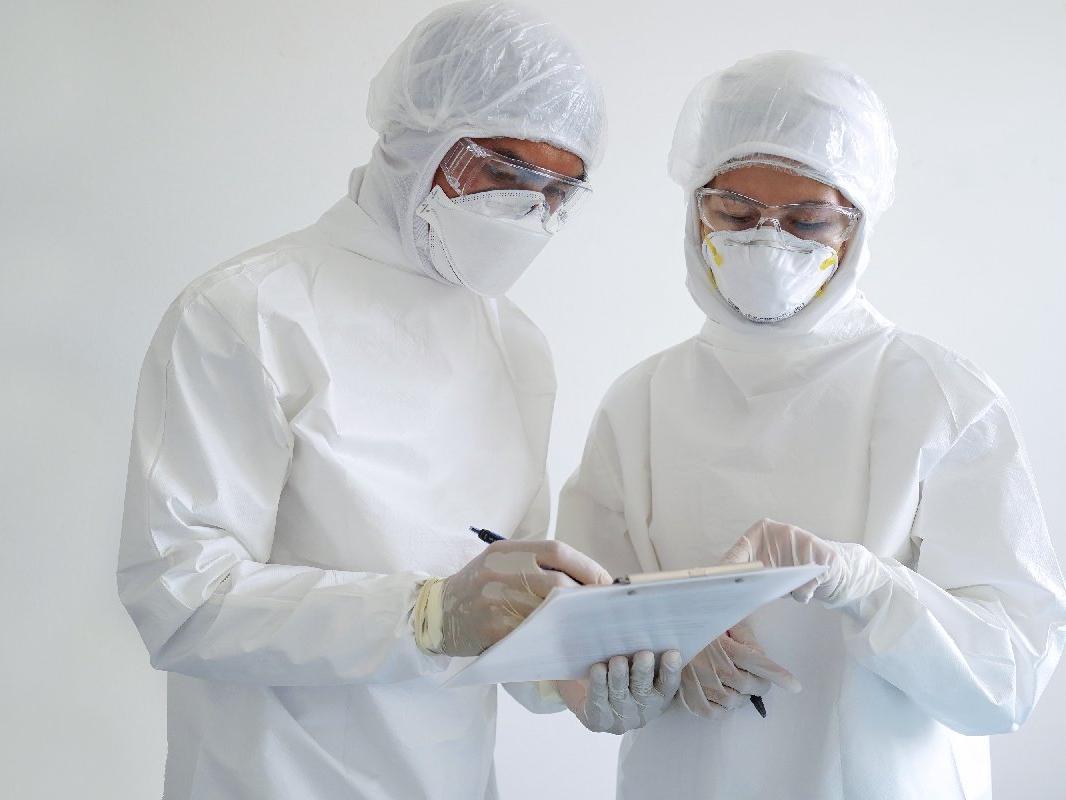 Bubonik veba (Kara Veba) nedir? İşte bubonik veba hastalığının belirtileri...