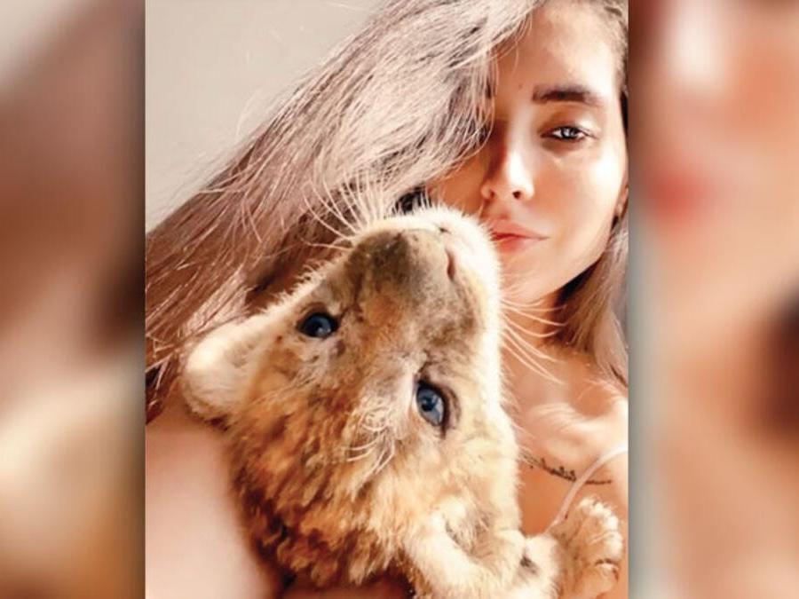 İranlı model Qazal Yadegari’nin rezidansta beslediği yavru aslan ve piton yılanı koruma altına alındı