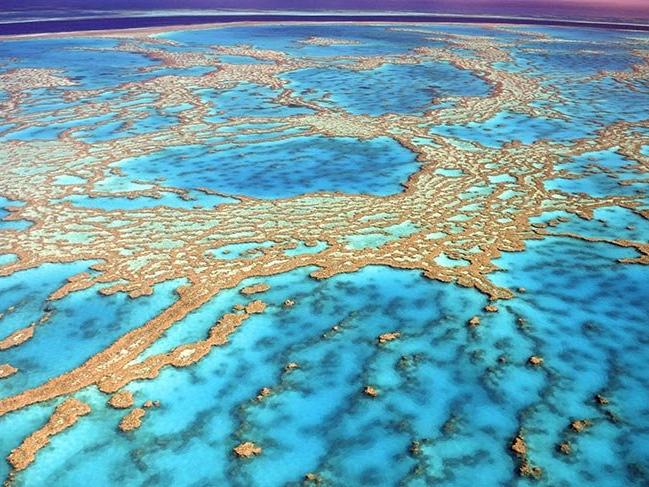 Dünyanın yedi doğal harikasından biri: Büyük Bariyer Resifi
