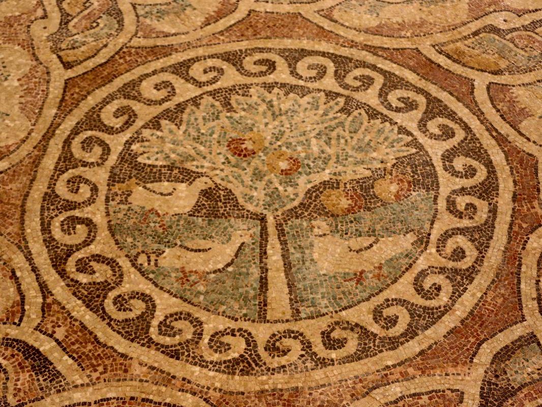 Kaçak kazıda ortaya çıkan 1800 yıllık 'elma mozaiği' sergilenmeye başladı