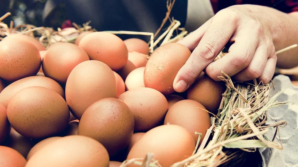 Yumurta alırken dikkat edilmesi gerekenler