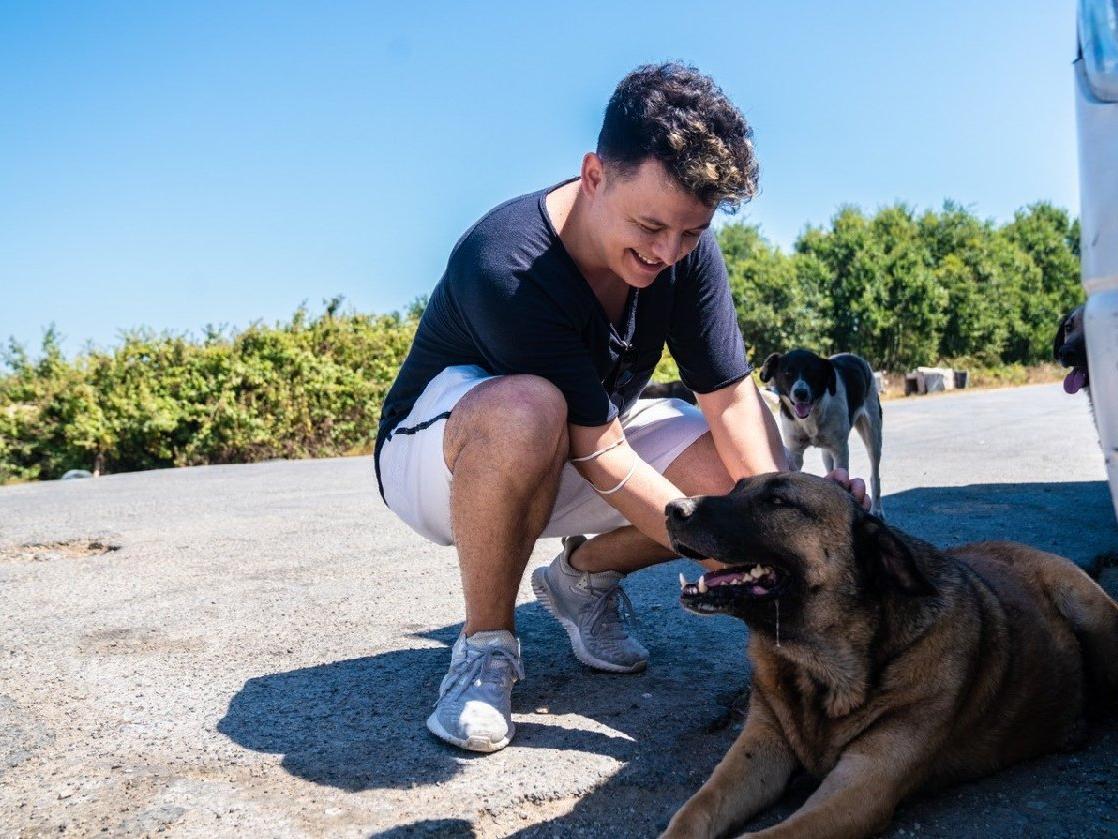 Youtuber Burak Güngör'den Beykoz Ormanı’ndaki bini aşkın köpek için yardım çağrısı