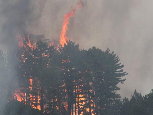 Bir günde 15 orman yangını! OGM: Bayram öncesi ciddi bir uyarı