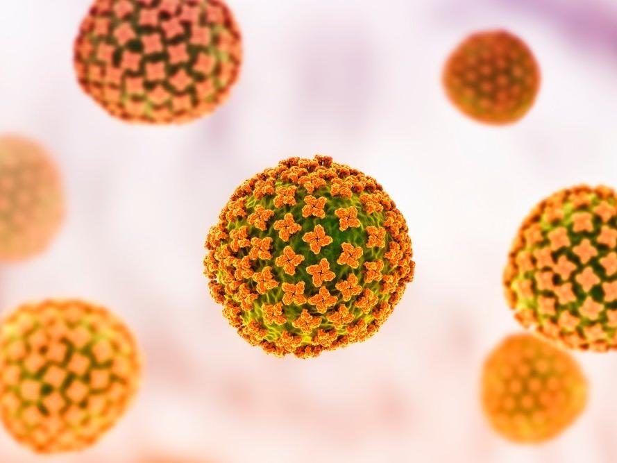 Bunyavirüs nedir? Çin'de görülen Bunyavirüs nasıl bulaşır, belirtileri neler?
