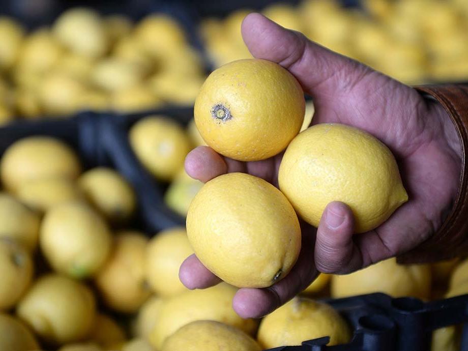 İki bakan arasında limon ihracatı ‘çalımı’