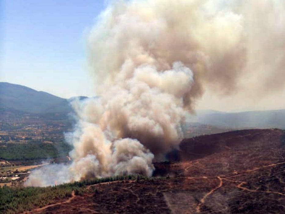 Milas Karapınar’da orman yangını kontrol altına alındı