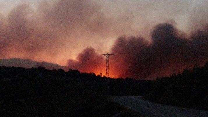 Adana'da orman yangınına müdahale sürüyor
